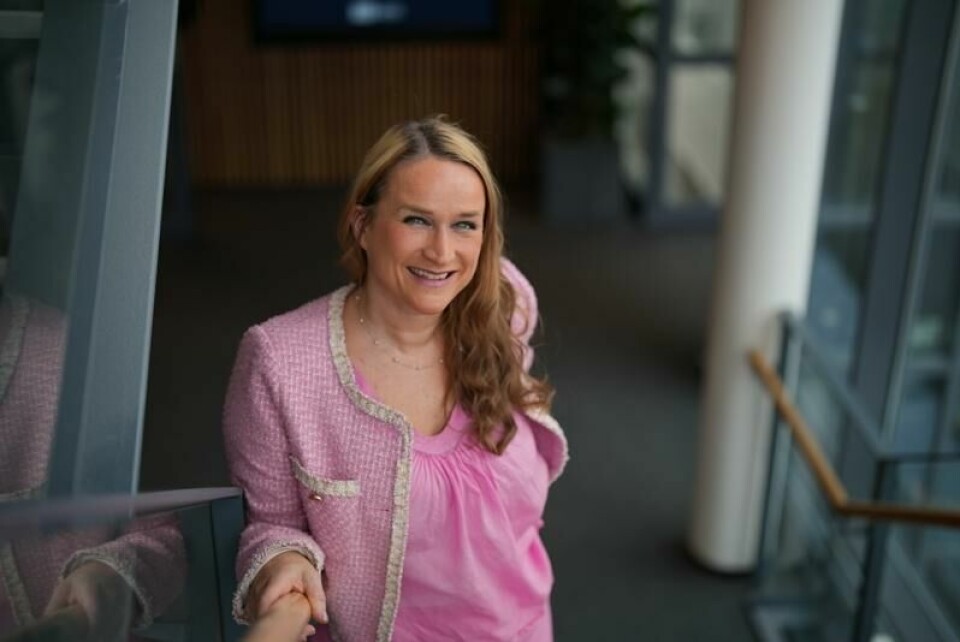 Direktør Ingvill Kvernmo i Arbeidstilsynet sier at det er behov for mer oppmerksomhet rettet mot sykdom som følge av jobb.