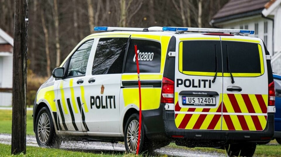 Mannen som er siktet i saken der en kvinne er død og et barn er hardt skadet i Vestnes, skal være sønn av kvinnen og storebror til barnet.