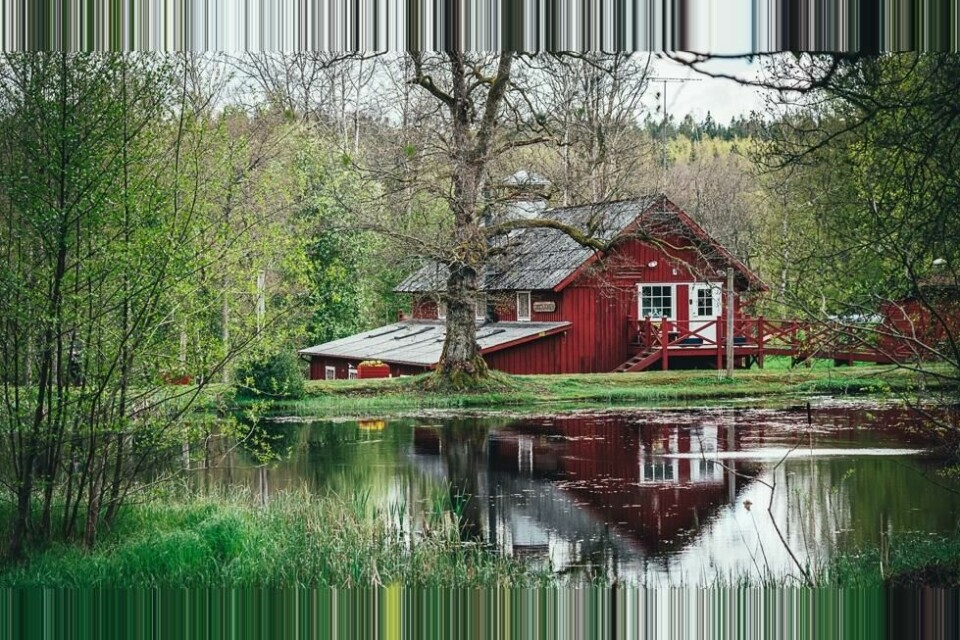 Sjarmerende Knystaforsen i Halland, hvor de lager mat på lokale råvarer over åpen ild. Sjarmerende Knystaforsen i Halland, hvor de lager mat på lokale råvarer over åpen ild. Foto: Knystadforsen