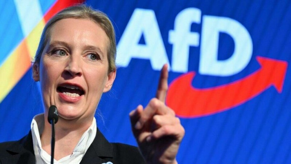 Alice Weidel og hennes AfD gjorde et historisk godt valg i Tyskland søndag. Partiet ble nest størst og får en stor gruppe i Forbundsdagen.