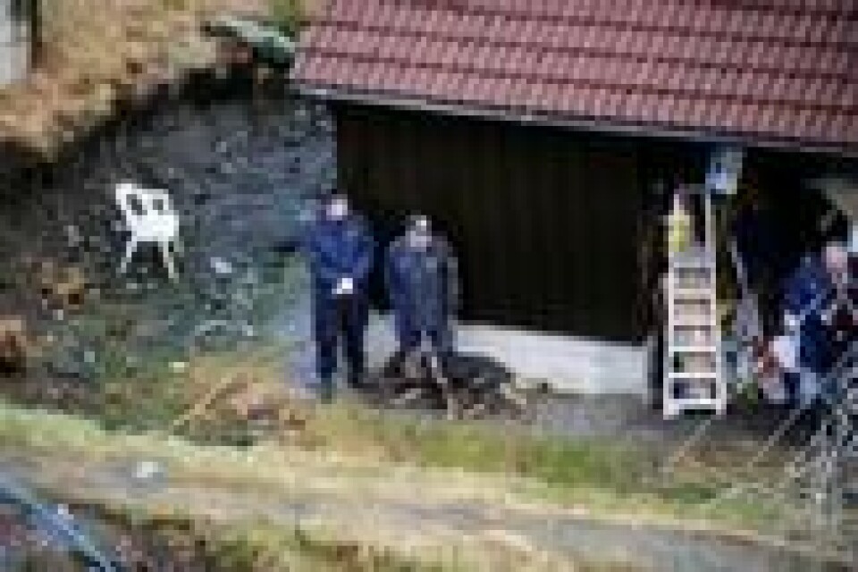 Politiet gjorde omfattende søk med likhund etter Dung Tran Larsen. Politiet gjorde omfattende søk med likhund etter Dung Tran Larsen. Foto: Marit Hommedal / Scanpix