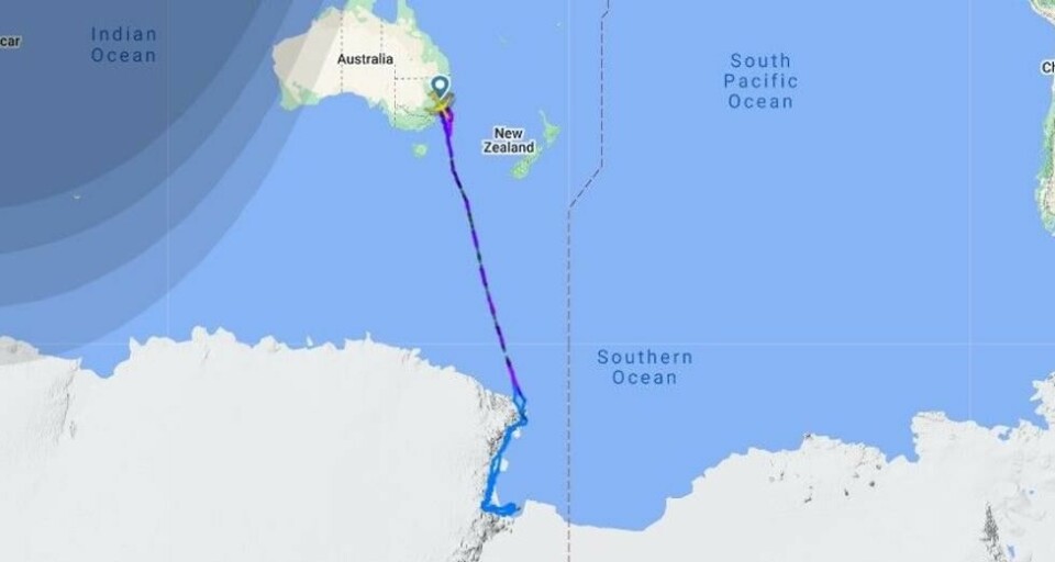 Sydpolruten til australske Qantas. Sydpolruten til australske Qantas. Foto: Flightradar24 via Aerotime.com