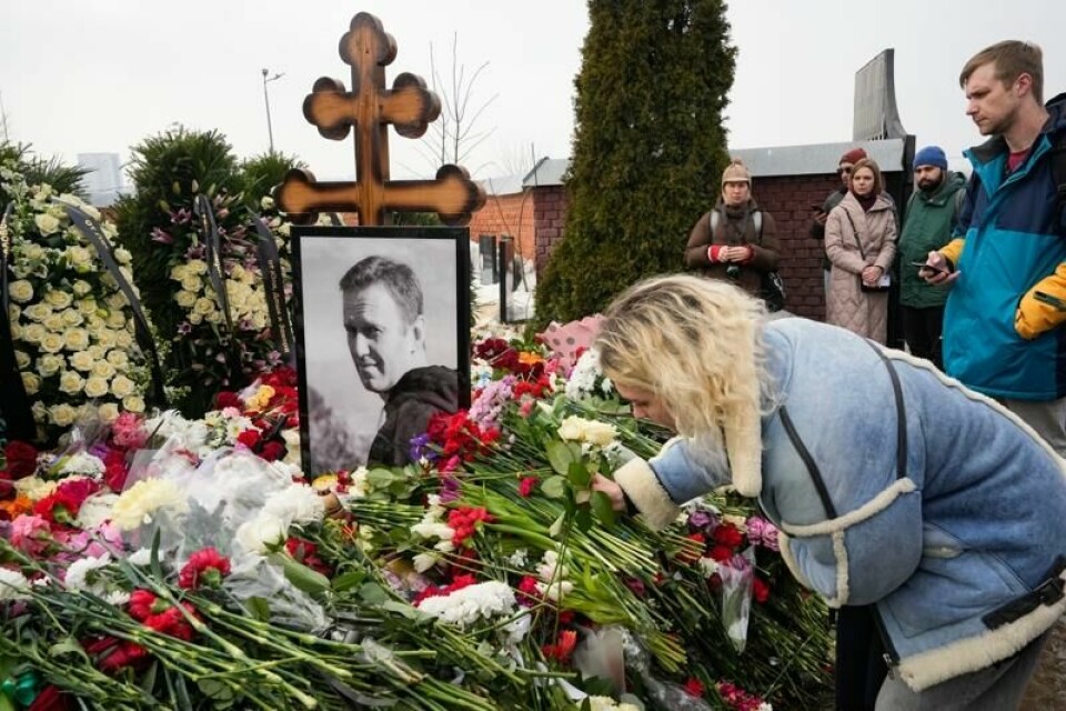 Tre av avdøde Aleksej Navalnyjs advokater er dømt til fengselsstraffer i Russland. Arkivfoto: AP / NTB