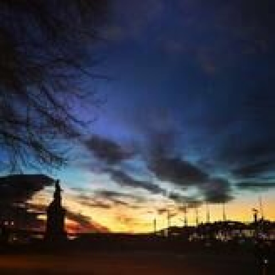 OSLO HAVN: Solnedgang tirsdag. Til høyre Aker Brygge og Tjuvholmen. OSLO HAVN: Solnedgang tirsdag. Til høyre Aker Brygge og Tjuvholmen. Foto: Kristine Brunmark (ABC NYheter)