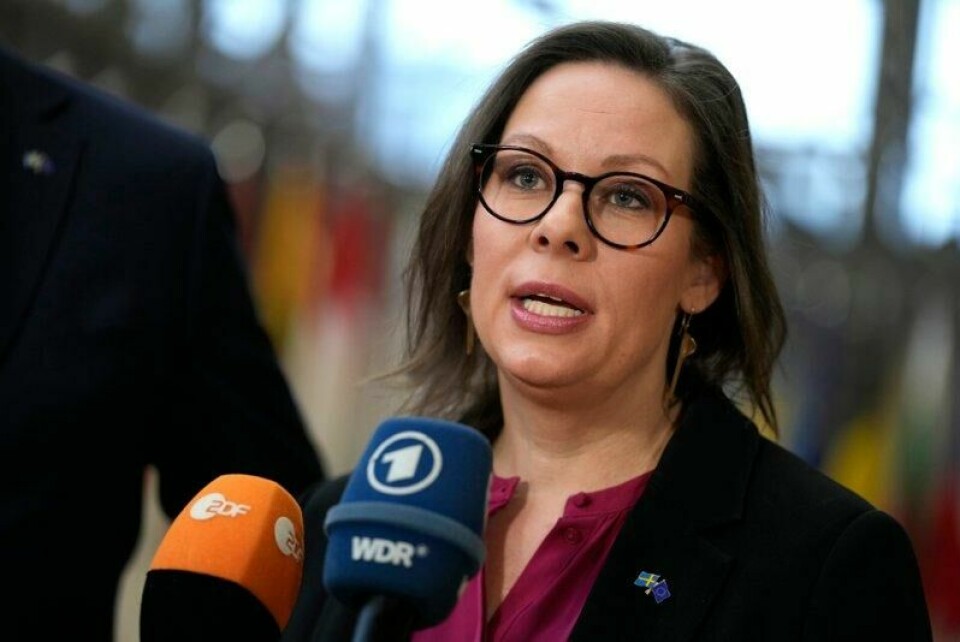 Den svenske regjeringen vil sette ned et utvalg for å se på hvilke rettigheter svensker med dobbelt statsborgerskap skal ha i utlandet, sier utenriksminister Maria Malmer Stenergard.