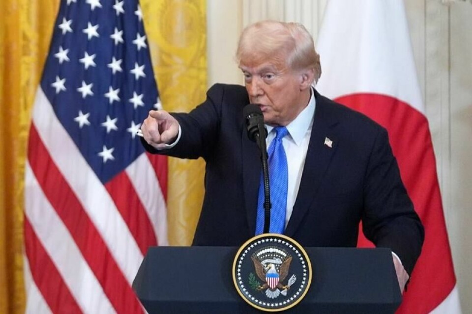 President Donald Trump sier Elon Musk skal granske Pentagons pengebruk.