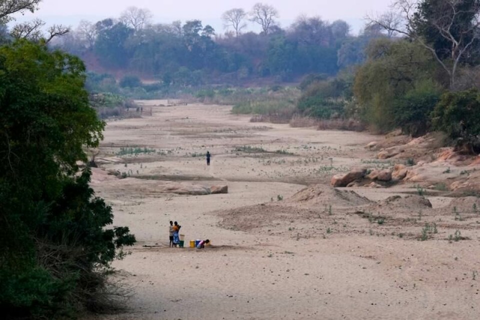 Bildet ble tatt i 2024 og viser omfattende tørke i Zambia. Norge gir 50 millioner kroner til initiativet Africa Risk Capacity (ARC), som lar land i Afrika kjøpe forsikring mot klimakatastrofer.