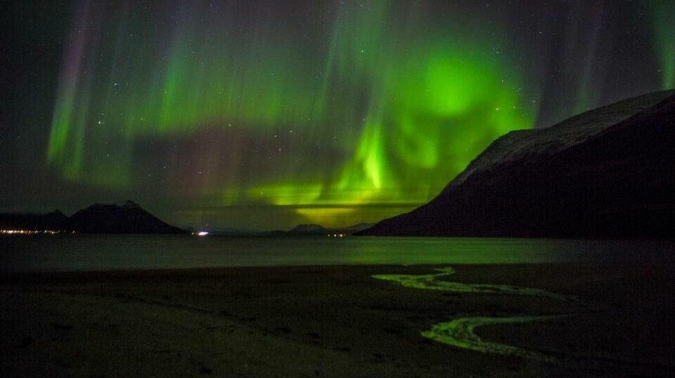 Mange turister reiser til Tromsø for å se det spektakulære nordlyset.