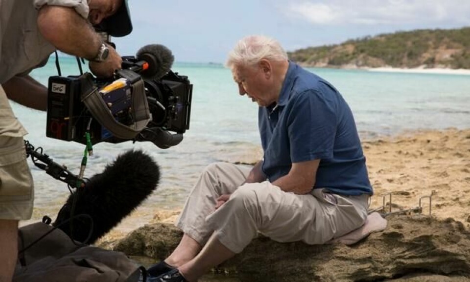 Foto: BBC Earth Foto: BBC Earth