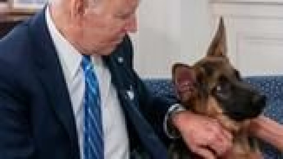 President Joe Biden og hunden Commander forografert julen 2021. President Joe Biden og hunden Commander forografert julen 2021. Foto: Saul Loeb / AFP/NTB