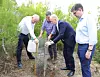 Sebastian Ebel, Joan Simonet Pons, Thomas Ellerbeck og Jaume Bauzà Mayol planter et av 50.000 trær på Mallorca. Foto: TUI Forest Mallorca