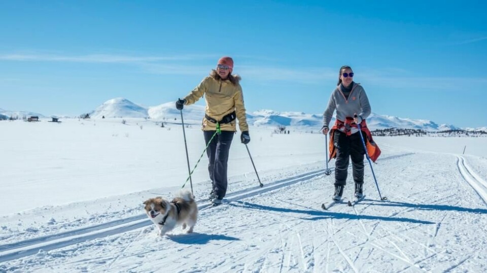 En tidlig påskeferie førte til at mange nordmenn var på reisefot i løpet av årets tre første måneder. Reiser innad i Norge ligger i toppen. Foto: Heiko Junge / NTB