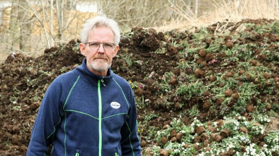 MOMS-UENIGHET: Styreleder Eystein Ruud i Norsk Gartnerforbund, her foran komposthaugen med blomster som ikke blir solgt på grunn av coronavirus-tiltakene, ber om utsettelse av betalingen av moms for 2019. Det sier Finansdepartementet nei til.