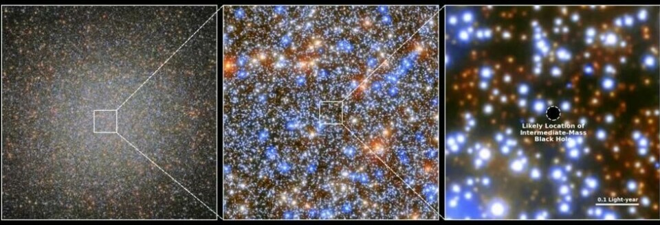Bildene zoomer inn på et område i midten av Omega Centauri, der et mellomstort sort hull trolig ligger. (Foto: ESA/Hubble & NASA, M. Häberle (MPIA)) Bildene zoomer inn på et område i midten av Omega Centauri, der et mellomstort sort hull trolig ligger. (Foto: ESA/Hubble & NASA, M. Häberle (MPIA))
