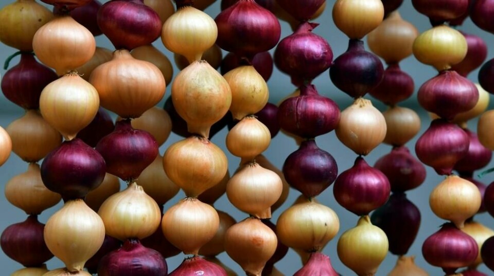 Forskere mener å ha funnet at det kan være fruktaner, og ikke gluten, som skaper problemer for mange. Fruktaner finnes blant annet i flere typer løk.