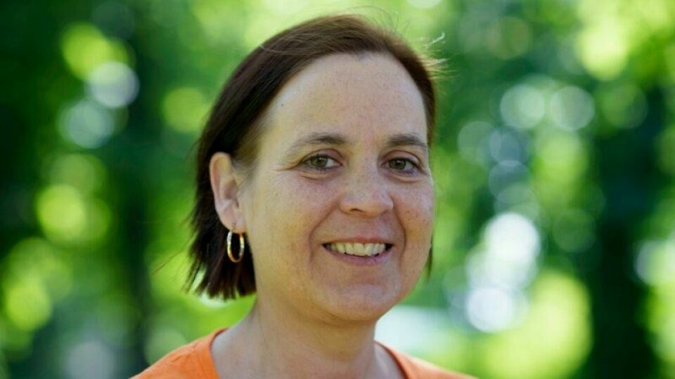 Ann Jorun Hillersøy ble valgt til partileder for Industri- og Næringspartiet (INP) i april 2024. Hun velger nå å trekke seg fra vervet.