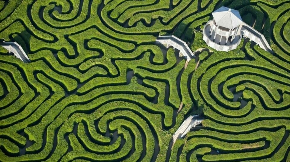 Vest for London ligger en av verdens lengste labyrinter; Longleat Hedge Maze. Foto: Wikimedia Commons