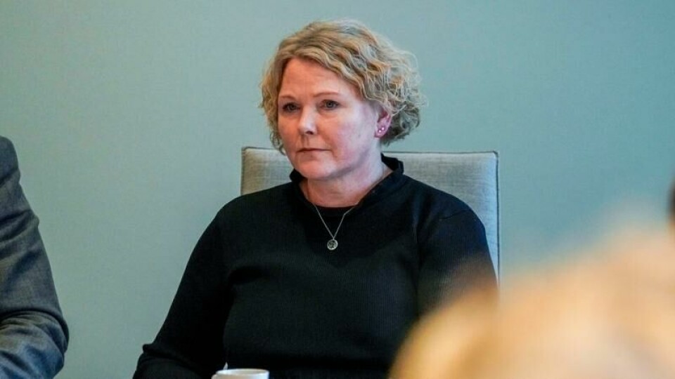 Utviklingsminister Anne Beathe Tvinnereim.