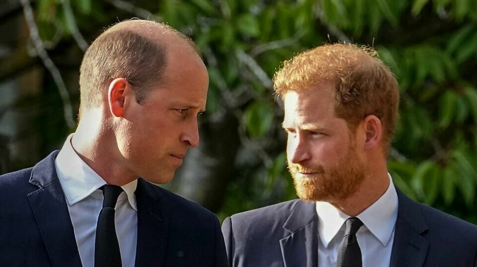 Gjenforeningen mellom brødrene prins William og prins Harry uteble under sistnevntes raske besøk til hjemlandet.