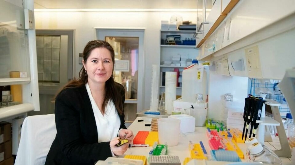 Kan man få long covid-symptomer av coronavaksinene? Ja, sier immunolog Elling Ulvestad. Vi kan ikke utelukke det, men vi kan heller ikke slå det fast, svarer vaksineforsker Gunnveig Grødeland.