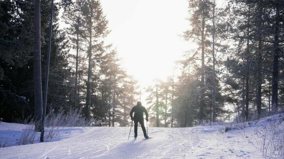 Stormene er bak oss, og det er denne uken meldt minusgrader og oppholdsvær i store deler av landet. Trosser man vinden, har man gode muligheter til å ta en skitur i helgen. Foto: Beate Oma Dahle / NTB
