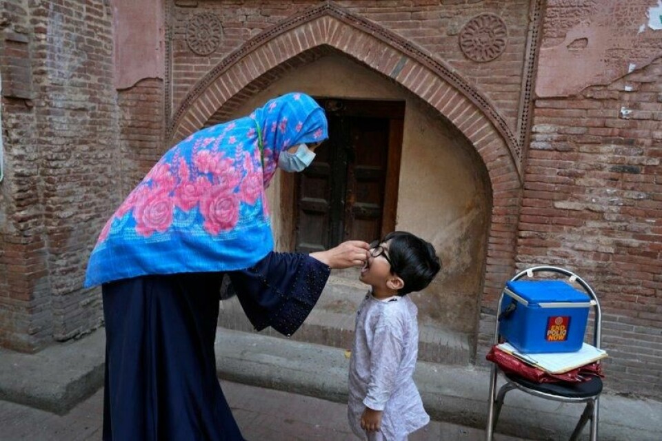 En helsearbeider gir et barn en poliovaksine i Lahore i fjor.