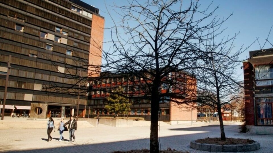 UKULTUR: Direktøren for Eiendomsavdelingen ved Universitetet i Oslo innrømmer at det har vært en ukultur ved avdelingen i flere år.