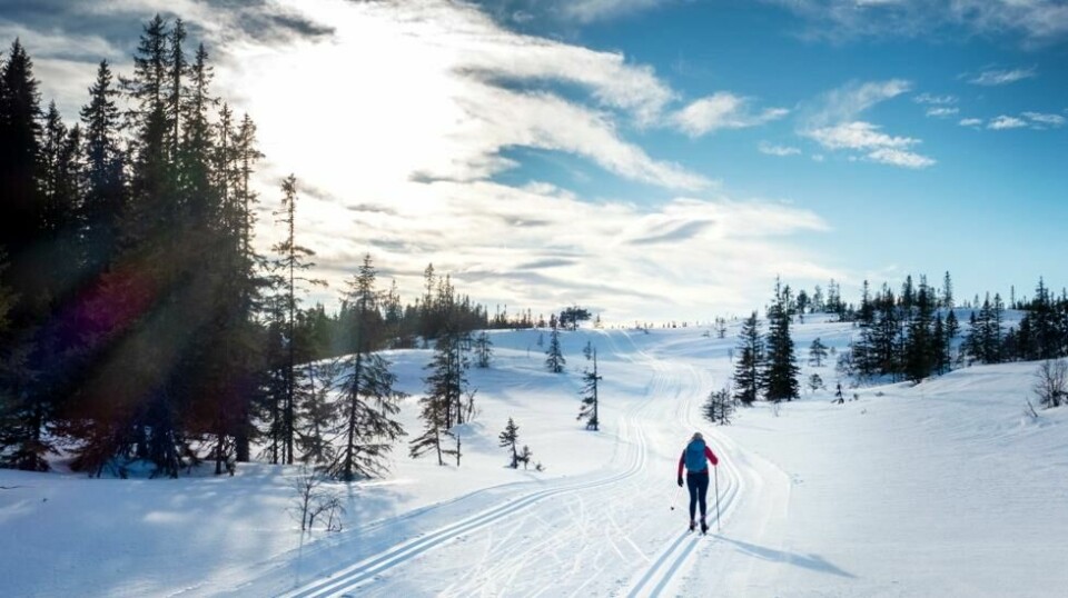 Man må opp i høyden for å oppleve skikkelig vintervær, ifølge meteorologene. Foto: Gorm Kallestad / NTB