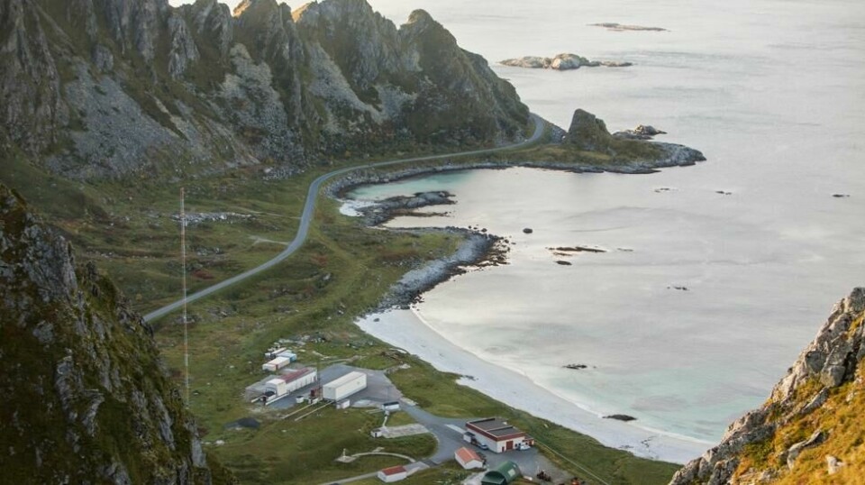 Den nye rekorden på 14 grader på Andøya i Nordland er mye høyere enn forrige rekordtemperatur målt der i november: 12,5 grader. Foto: Tore Meek / NTB