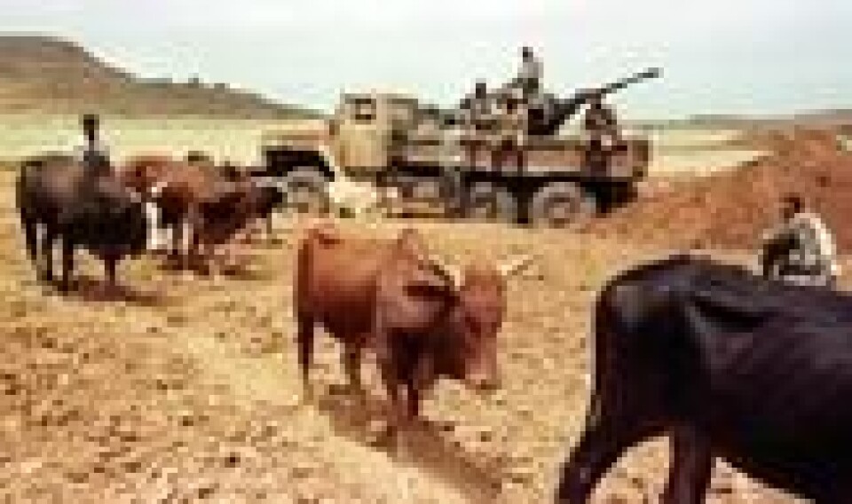 ERITREA MOT ETIOPIA: Også etter delingen av Etiopia har det vært stridigheter med Eritrea. Her passerer en bonde etiopiske styrker ved Adigrat 12. juni 1998, under grensekrigen mellom de to landene. ERITREA MOT ETIOPIA: Også etter delingen av Etiopia har det vært stridigheter med Eritrea. Her passerer en bonde etiopiske styrker ved Adigrat 12. juni 1998, under grensekrigen mellom de to landene. Foto: Alexander Joe / AFP/NTB scanpix