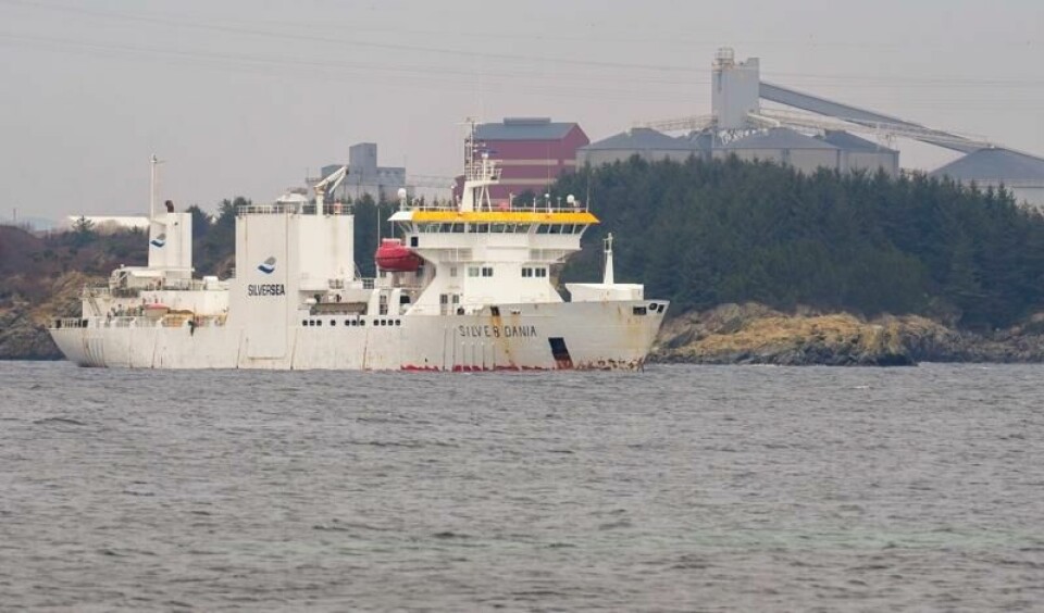 Det er lasteskipet «Silver Dania» som er brakt inn av politiet. Her utenfor Norsk Hydro sitt anlegg på Karmøy.