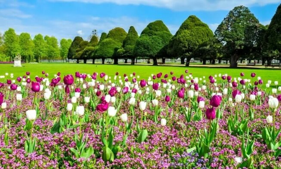 Flere parker og grøntarealer i byene er blant tiltakene som ifølge forskere vil kunne bidra til å få insektbestanden tilbake på bena igjen. Her fra Hampton Court Gardens i London. Foto: Shutterstock / NTB Scanpix Flere parker og grøntarealer i byene er blant tiltakene som ifølge forskere vil kunne bidra til å få insektbestanden tilbake på bena igjen. Her fra Hampton Court Gardens i London. Foto: Shutterstock / NTB Scanpix