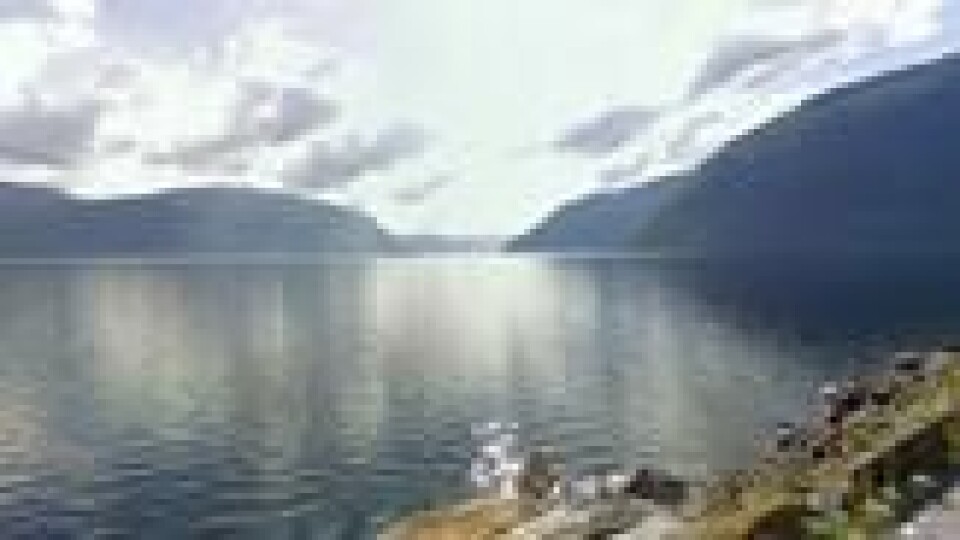 Hornindalsvatnet. Hornindalsvatnet. Foto: Google maps