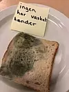 Brødskiven som elevene hadde tatt på med uvaskede hender var ikke spesielt appetittvekkende etter 14 dager. Foto: Rikke Elisabeth Tang Steffensen