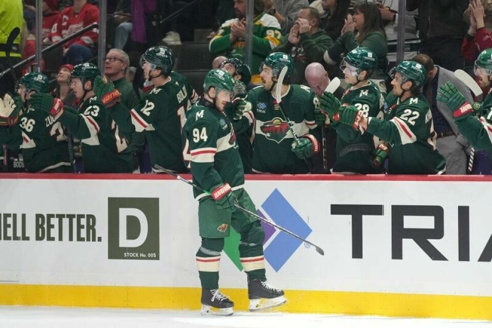 Lagkameratene i Minnesota Wild - inkludert Mats Zuccarello lengst til venstre - gratulerer Jakub Lauko med kampens andre mål.