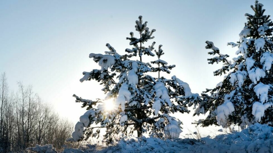 Det er lenge siden Norge opplevde en kuldeperiode som denne, ifølge meteorologen.