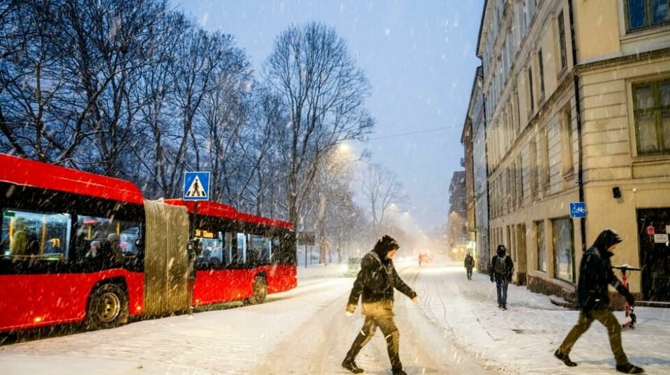 Med lavtrykket som kommer inn fra sør torsdag, blir det både regn, snø og underkjølt regn i farevarsel-områdene. Ruter advarer om at bussen kan få trøbbel. Her fra en tidligere snøværsdag i februar. Foto: Javad Parsa / NTB