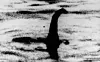 Et av de mest kjente fotografiene av det som av flere påstås å være sjøormen i Loch Ness. Ifølge andre viser fotografiet en rekvisitt fra en film fra 1970. Foto: AP / NTB scanpix.