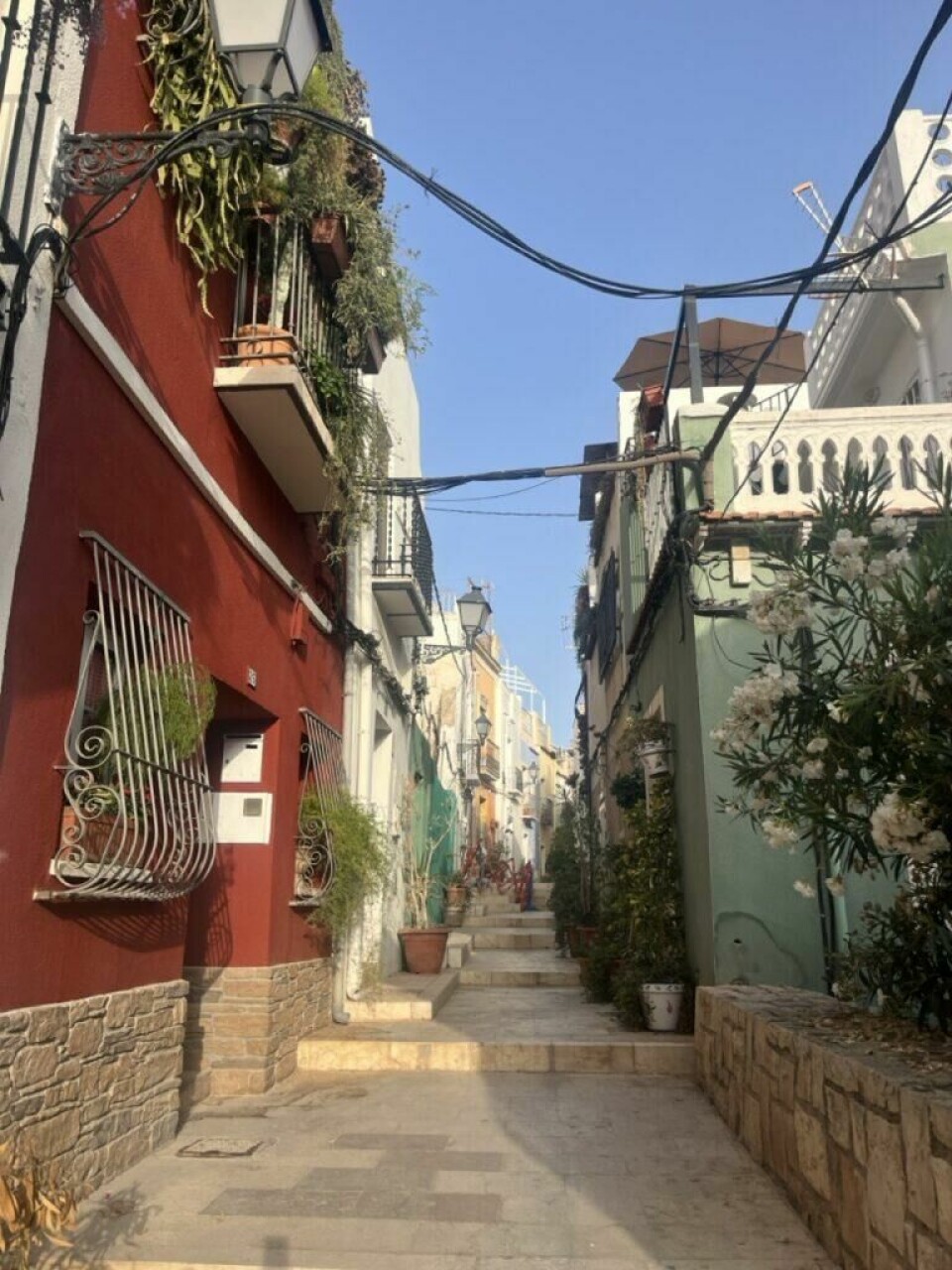Ikke gå glipp av gamlebyen i Alicante. Her er du omgitt av smale brosteinsgater, fargerike fasader og lokale tapasbarer, og får en følelse av et autentisk Spania. (Foto: Cecilie Aasland / ABC Startsiden) En sjarmerende, smal gate i gamlebyen i Alicante, omgitt av fargerike hus i rødt, grønt og hvitt. Gaten er brosteinsbelagt med små trapper som fører oppover, og blomsterkrukker og klatreplanter pynter opp både fasader og fortau. Smijernsgitter, gamle gatelykter og synlige ledninger bidrar til den autentiske, litt rustikke middelhavsstemningen. Sollyset bader gaten i varmt gyllent lys, og gir en fredelig og innbydende atmosfære – perfekt for en rolig spasertur gjennom historie og lokal sjarm.Ikke gå glipp av gamlebyen i Alicante. Her er du omgitt av smale brosteinsgater, fargerike fasader og lokale tapasbarer, og får en følelse av et autentisk Spania.