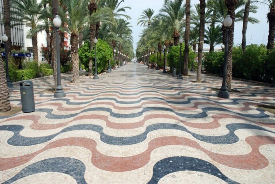 Mosaikken langs promenaden er et kjent syn i Alicante, og Explanada de España er absolutt verdt å besøke dersom du befinner deg i den spanske byen. (Foto: Colourbox) Bilde av den kjente promenaden i Alicante, som ligger langs Costa Blanca i Spania, hvor du kan se den bølgende mosaikken på bakken i fargende rød, hvit, og mørk blå. På siden er det grønne trær som strekker seg opp mot himmelen. Her får du tips til hva du må se og gjøre i Alicante, som blant annet besøke Santa Bárbara-slottet, Basilica de Santa Maria, Tabarca-øya, Mercado Central og Explanada de España.