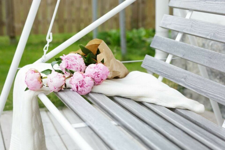 Det finnes mange forskjellige modeller Hammock på markedet, vi gir deg tips enten du vil ha rimelig, tre, stål eller klassisk. (Foto: GardenStore) Retro hvit hammock, nærbilde, med en bukett peoner