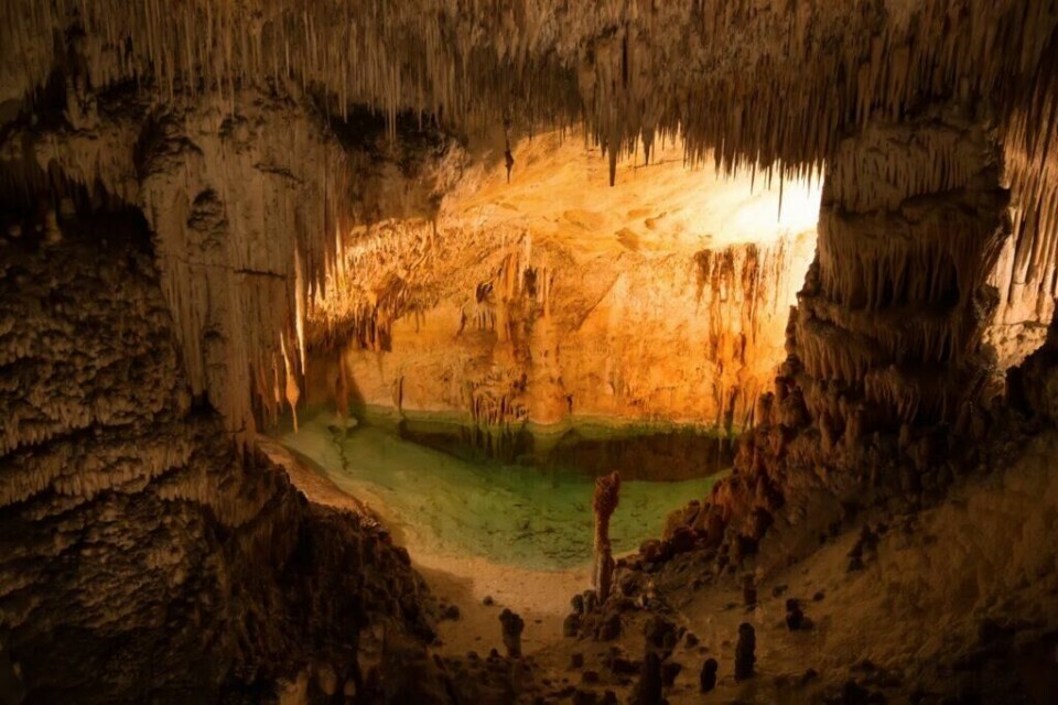 Cuevas del Drach, også kalt dragegrottene, er en populær severdighet på Mallorca. (Foto: Colourbox) Cuevas del Drach, også kalt dragegrottene på Mallorca. Her ser du den opplyste grotten hvor det henger istapplingnede formasjoner fra taket. I bunnen av grotten kan du se et klart vann.