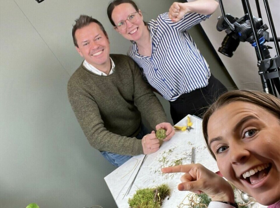 Dette er gjengen fra Kreative Ideer som gjerne vil bli bedre kjent med deg både på live-event og se bilder av de flotte julekransene deres i sosiale medier! (Foto: Kreative Ideer) Bilde av de ansatte i Kreative Ideer som lager julekrans og Espen Skarphagen som viser frem innholdet i Kreative Ideer sin julekrans. Denne kan du lage selv og vi viser deg hvordan du lager den flott diy-julekransen!