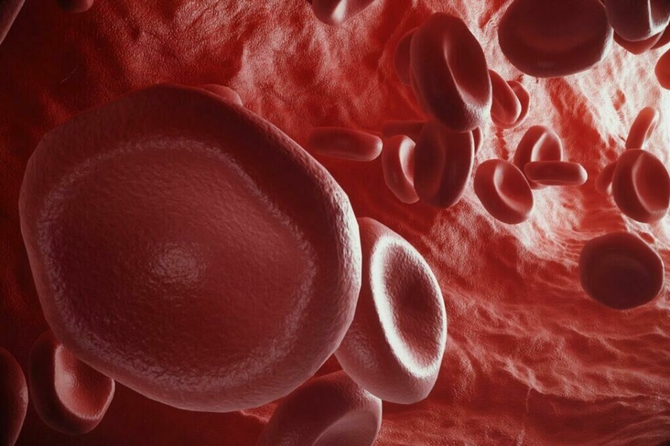 Blodtrykksmåler: Illustrasjonsbilde av røde blodceller i en arterie. (Foto: Colourbox) Blodtrykksmåler: Illustrasjonsbilde av røde blodceller i en arterie.