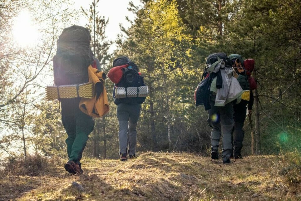 I årets sesong av 71 grader nord er deltakerne igjen kledd fra topp til tå i klær fra Helly Hansen. Vi firteller hvilke det er! (Foto: Helly Hansen) Bilde av deltakere i 71 grader nord som går på skogtur med turutstyr, turklær og tursekk. Personene har på seg grå skalljakker, turbukser og tursekker. Vi forteller hvilke klær deltakerne i 71 grader nord har på seg i årets (2023) og programmets 15. sesong av programmet.