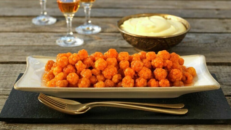 Multer både smaker godt og er proppfulle av vitaminer. (Foto: Matprat.no) Oransje multer servert på en hvit skål.