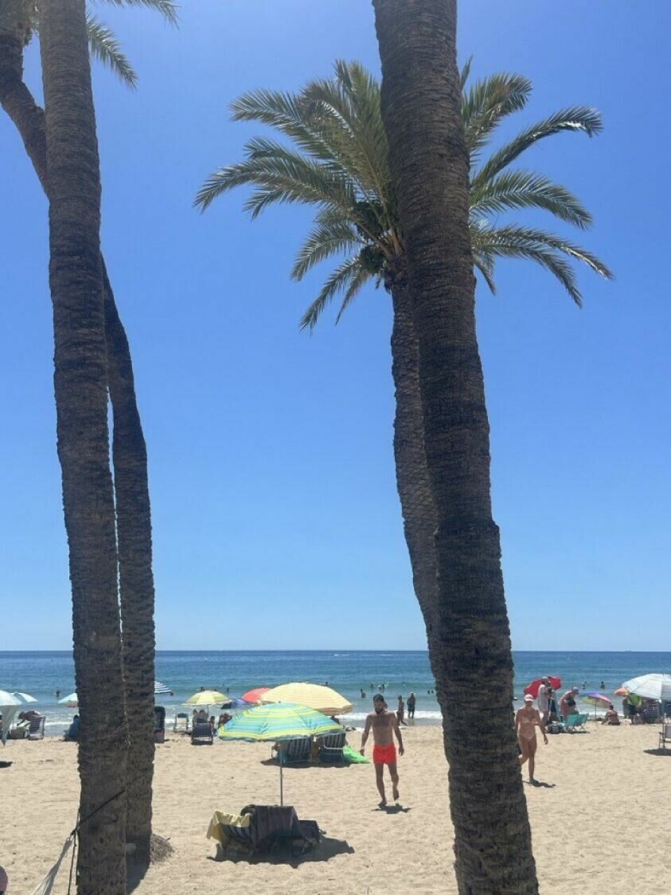 37 % av respondentene i undersøkelsen følte seg ikke bare uthvilte, men faktisk yngre etter en ferie. En livlig strandscene med høye palmer i forgrunnen og et yrende strandliv i bakgrunnen. Fargerike parasoller er spredd utover den lyse sanden, mens folk bader, slapper av i solstoler og nyter dagen ved sjøen. Den klare blå himmelen og det glitrende havet gir bildet en typisk sommerlig og avslappet feriestemning. En person i røde badeshorts går mot kameraet, mens andre nyter sol og vann i varmen. Å reise på ferie gjør oss mer enn bare avslappede og uthvilte, det gjør også at vi føler oss yngre, viser ny undersøkelse!