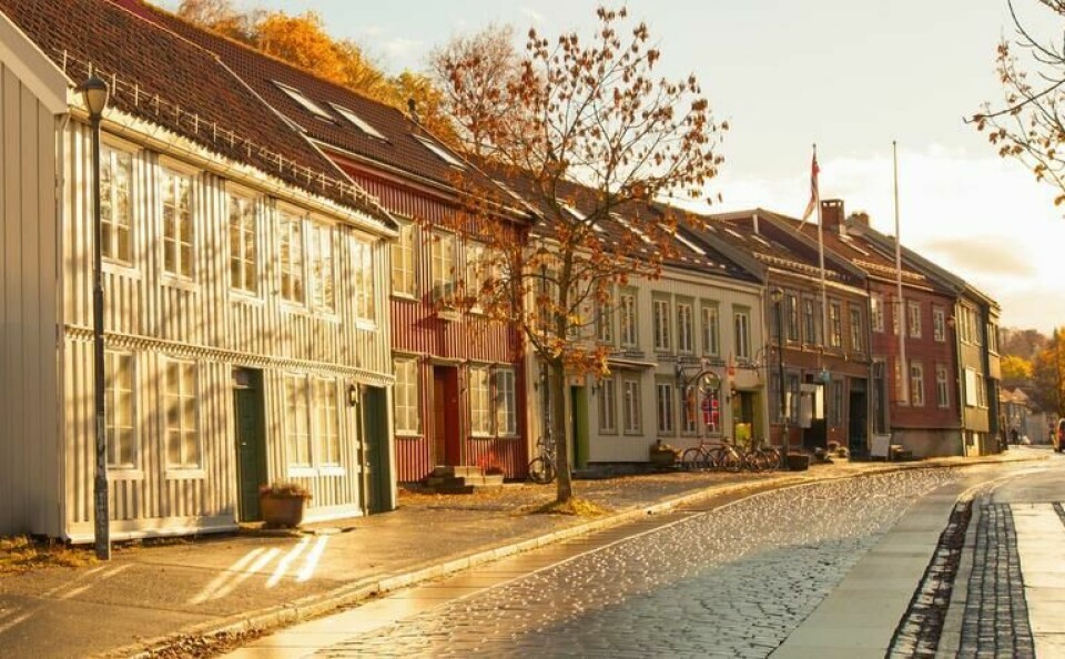 Bakklandet er et must når du besøker Tronheim: Idylliske Bakklandet byr på hyggelige trehus, nisjebutikker, stor og små hoteller. (Foto: Canva) Bilde av gamle trehus og brosteinsgate på Bakklandet i Trondheim.