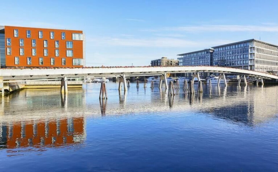 Ta turen over broen som bugner av blomster hver sommer, og besøk en av de mange uteserveringene langs Solsiden (Foto: Canva) Broen, blomsterbroen, fra sentrum av Trondheim over til Solsiden i solskinn.