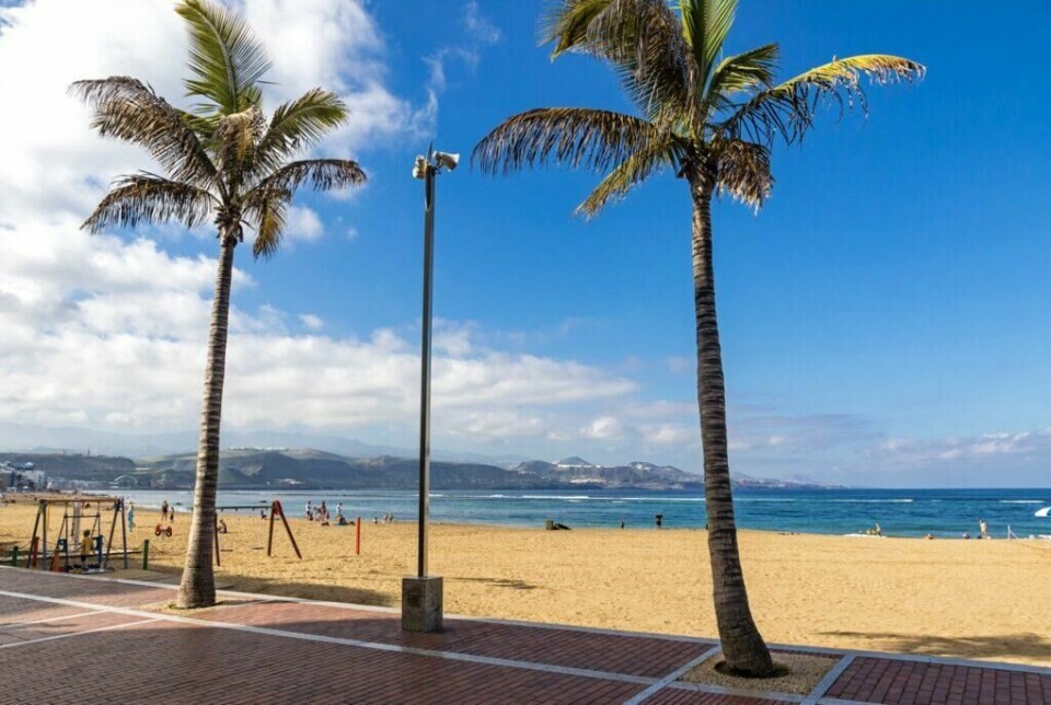 Foretrekker du late dager på stranden bør du sjekke ut Playa de Canteras i Las Palmas på Gran Canaria. (Foto: Colourbox) Bildet viser en strandpromenade med to palmetrær som står på hver sin side av et gangfelt med rødbrune fliser. I bakgrunnen ser man sandstranden Playa de Canteras på Gran Canaria med folk som nyter dagen ved sjøen. Lenger bak kan man se fjell og bygninger mot en blå himmel med noen spredte skyer. Det er også en lekeplass med noen få lekeapparater til venstre i bildet. Her får du ti ting du kan gjøre på Gran Canaria, Kanariøyene